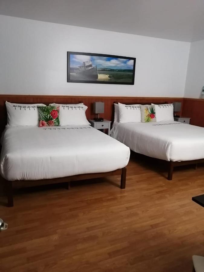 Hotel Fleurs Karaibes Saint-Alexandre-de-Kamouraska Luaran gambar