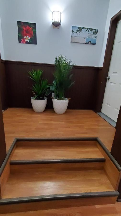 Hotel Fleurs Karaibes Saint-Alexandre-de-Kamouraska Luaran gambar